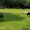 IMG_20200617_111520