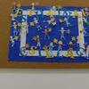 DSCN0238