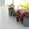 DSCN0008 (1)