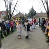 Hamvazószerda (43)