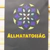 Alsós_rózsaablakok (4)