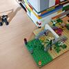 IMG_20231123_103303