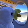 Exmouth 2026 - 81. seagull - to Hungary2