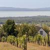 Zarandoktabor_2026_IMG_0406
