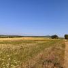Zarandoktabor_2026_IMG_0473